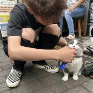 低像素.