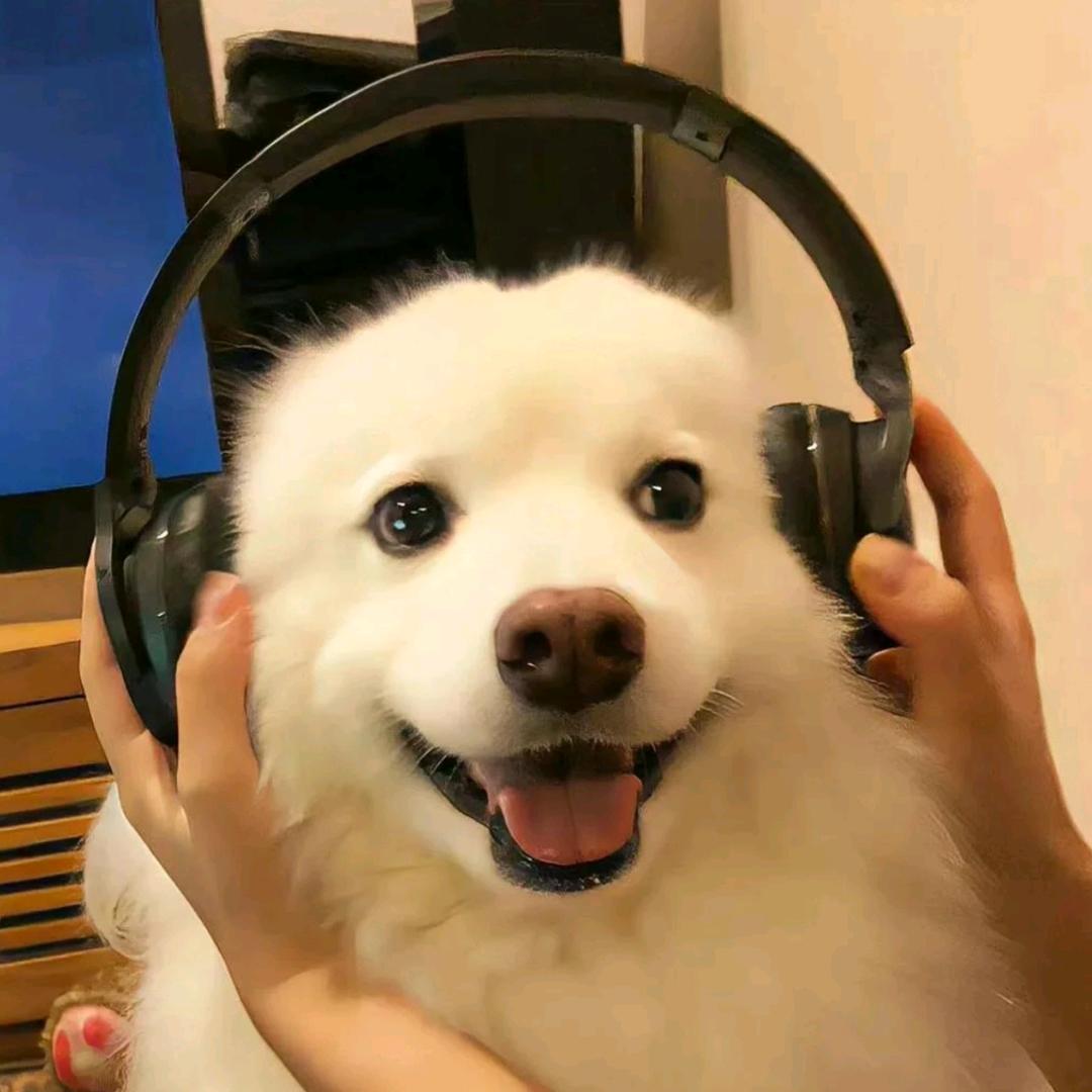 晁瀚