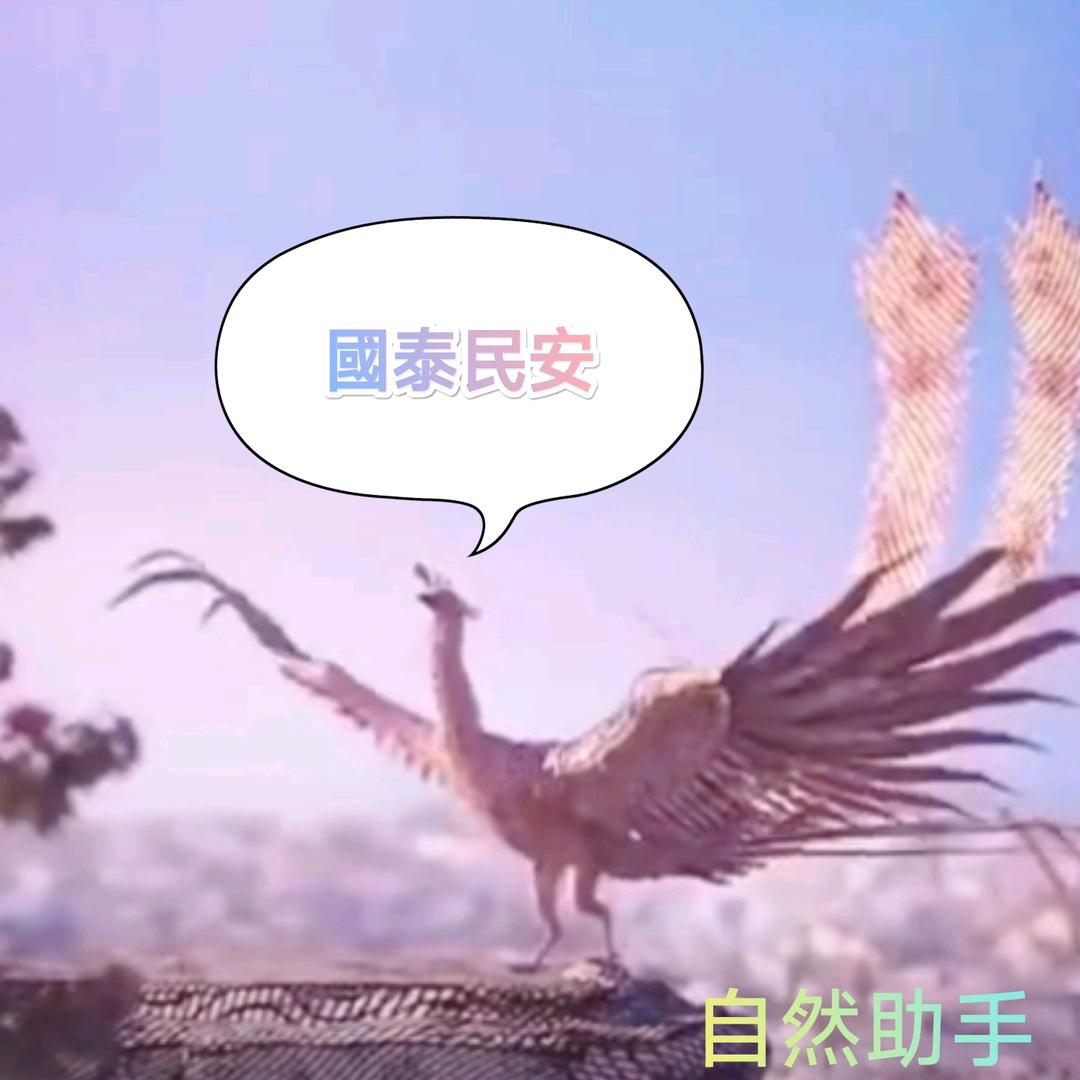 快抖音