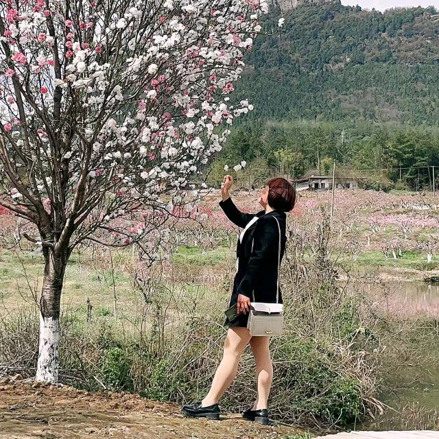 栀子🌸开