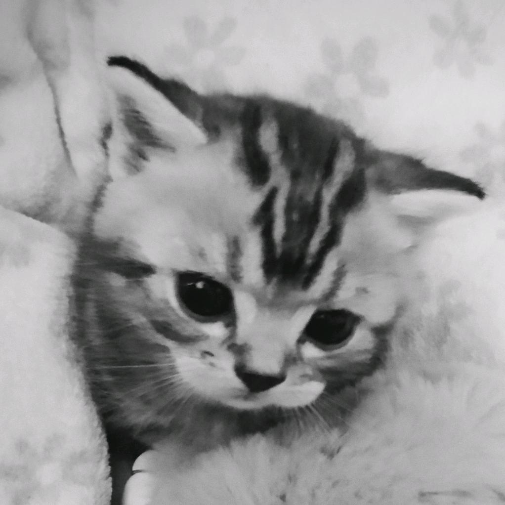 一只小狗子