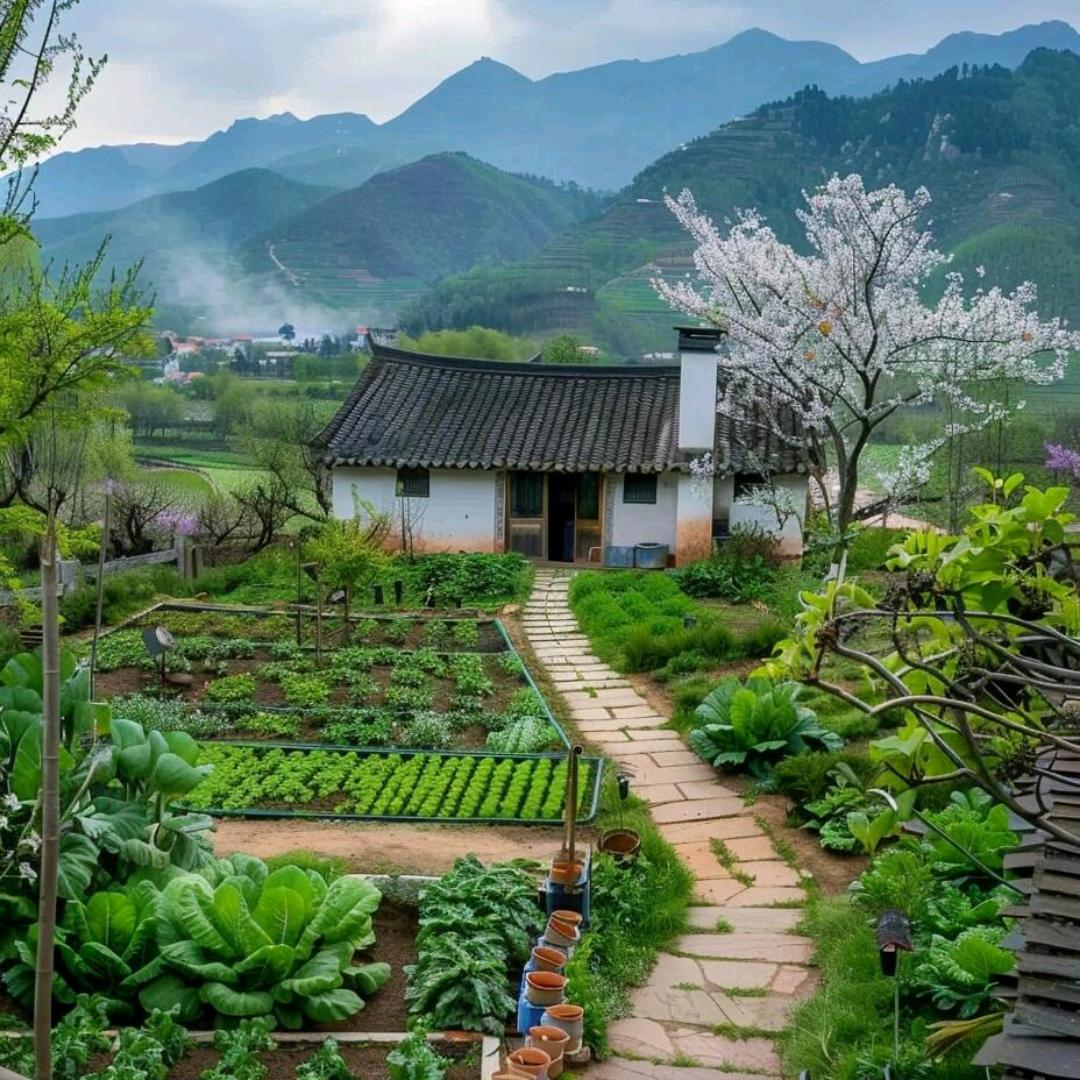 嘁恰冼粿