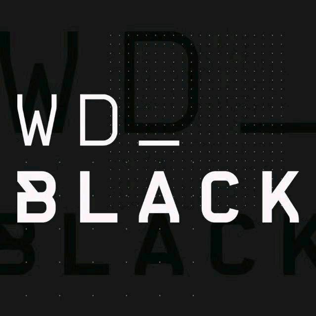 WD_BLACK存储旗舰店