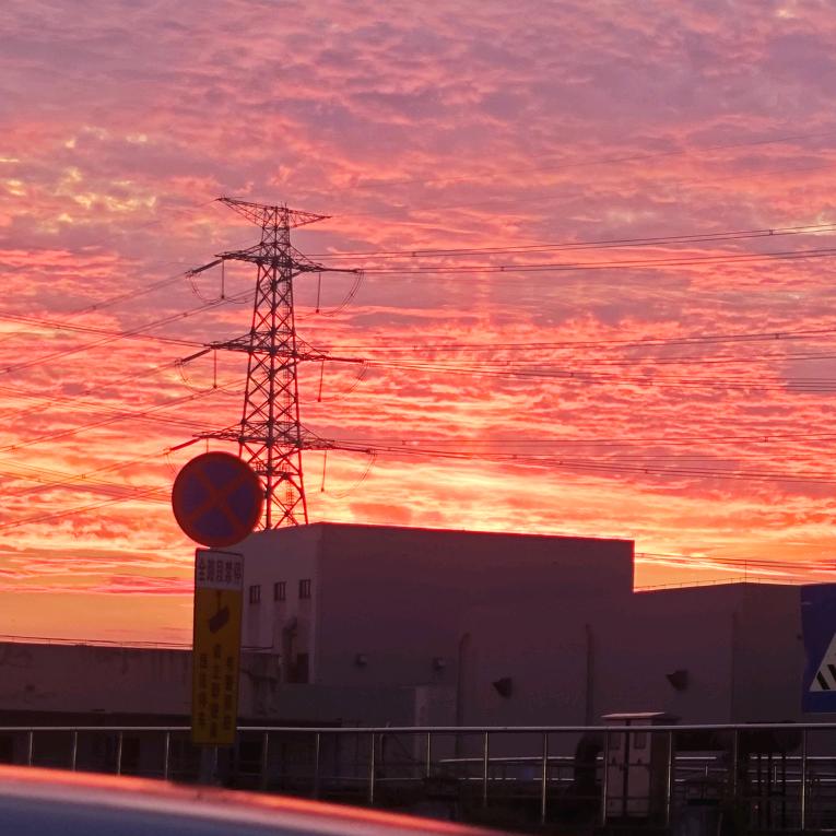 我也想爱上你呀！可、可