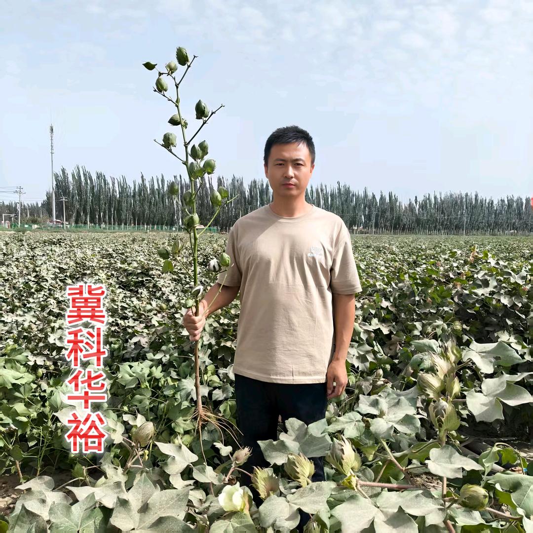 冀科华裕种业