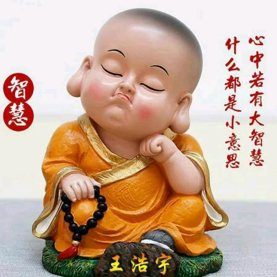 展翅翱翔