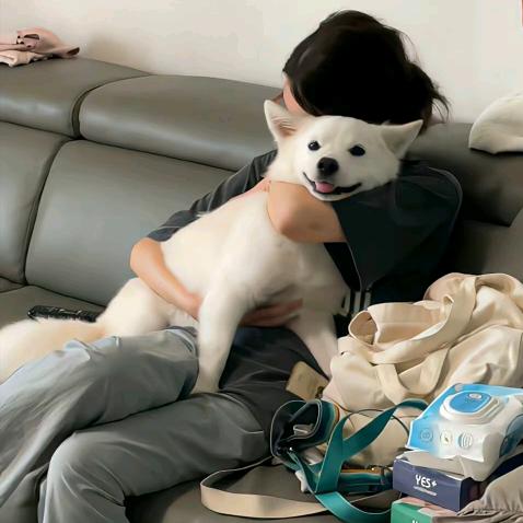 吴西迪西