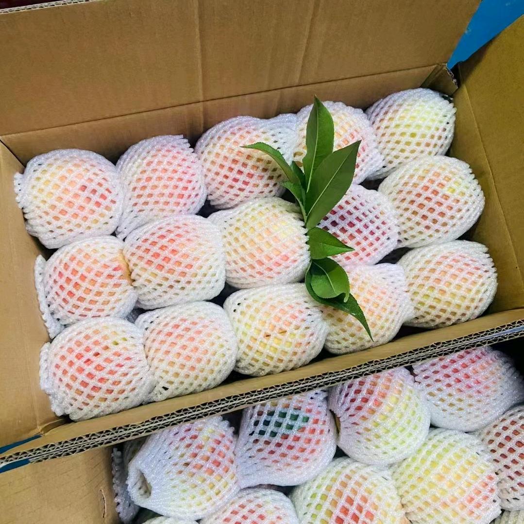 户外水果