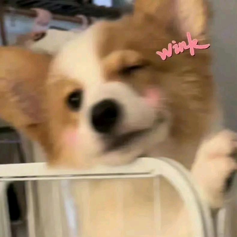 爱意