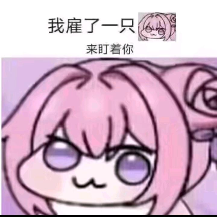灌汤包大师