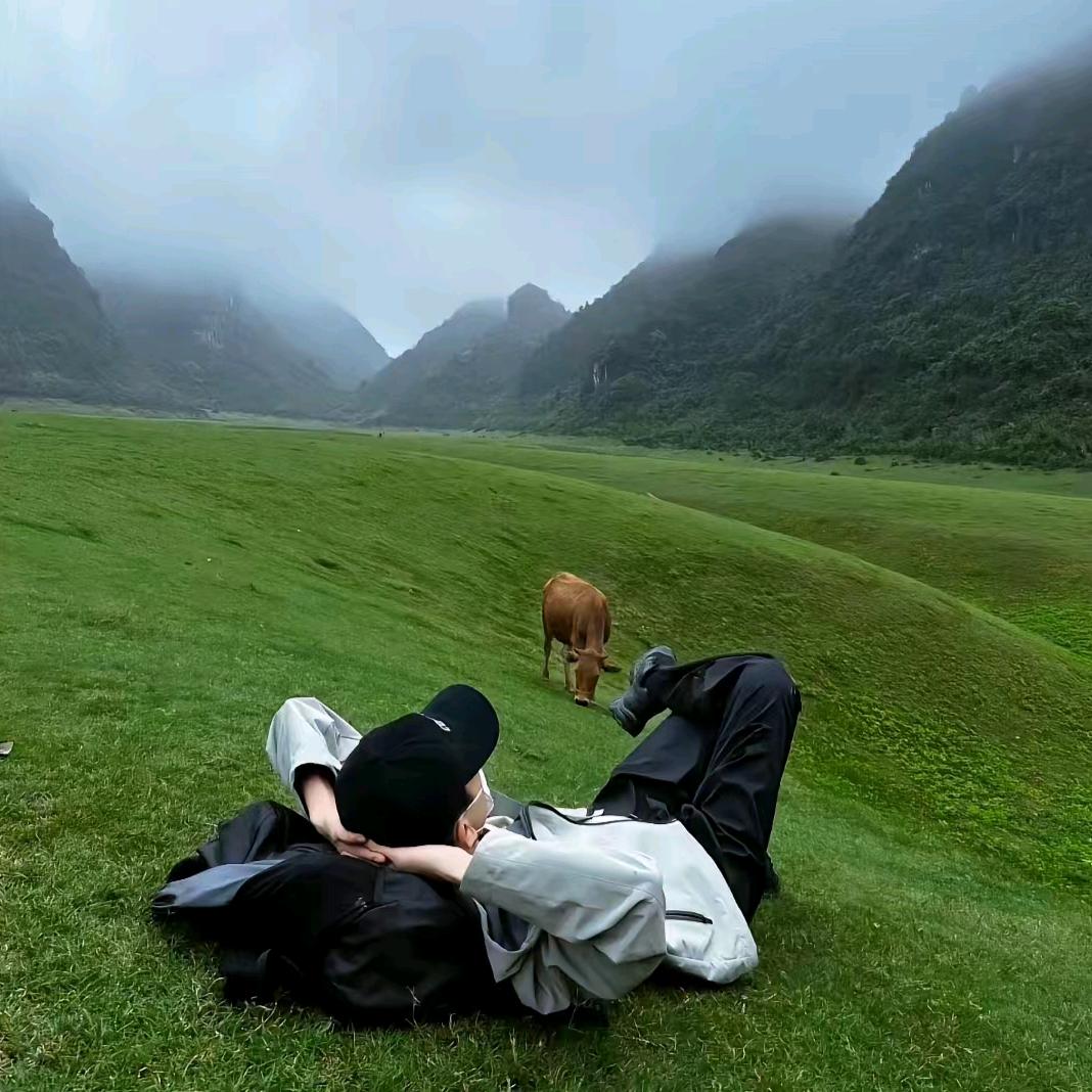 (๑• 梦想 •๑)