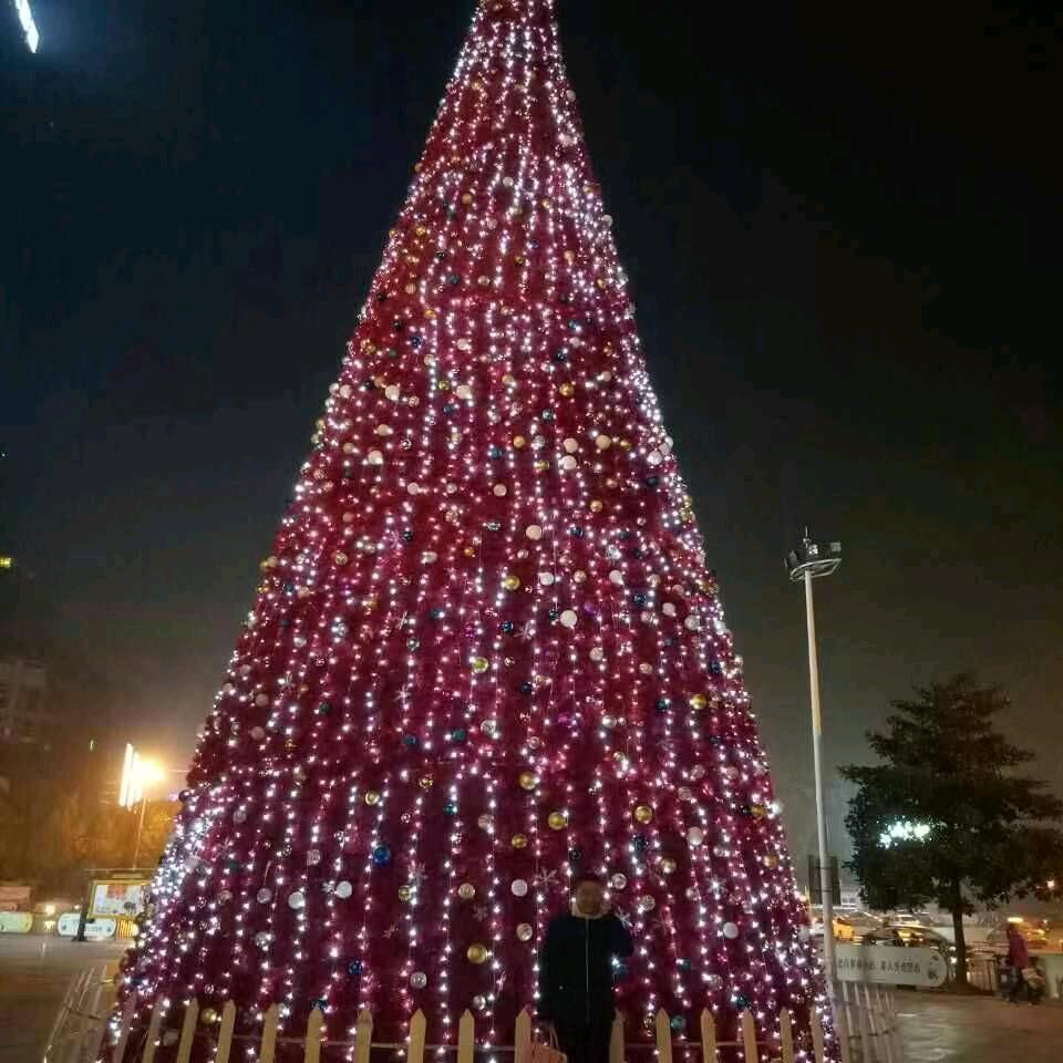 陈昭