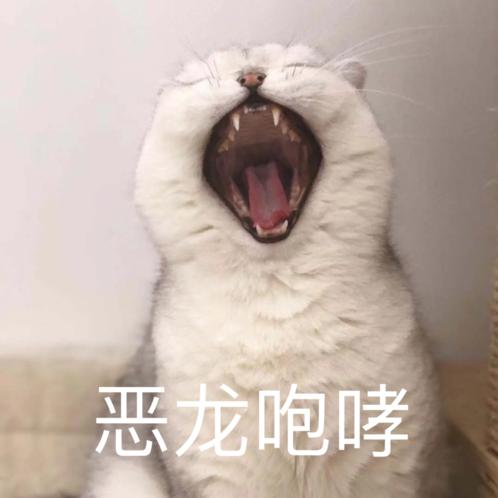 雾隐