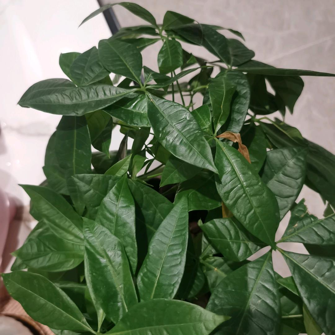 @开心二姐💋🌹