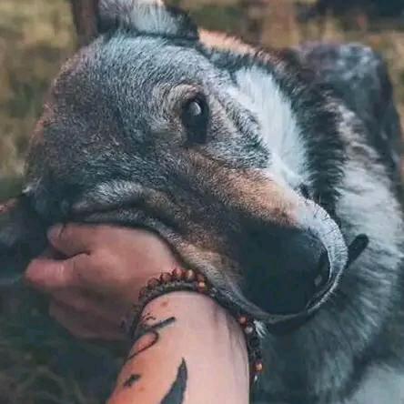 ㅤㅤㅤㅤㅤㅤㅤㅤㅤ刷抖音逛鸡院。