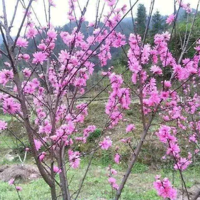 陈姐💝🍡