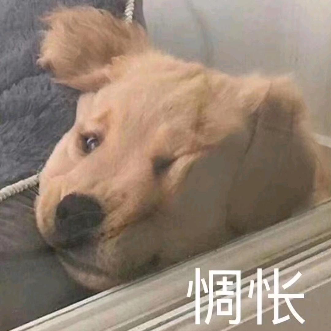 再睡两分钟