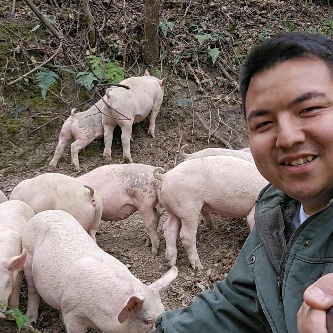 李林的猪