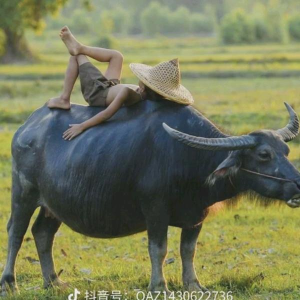 让微笑与你同在