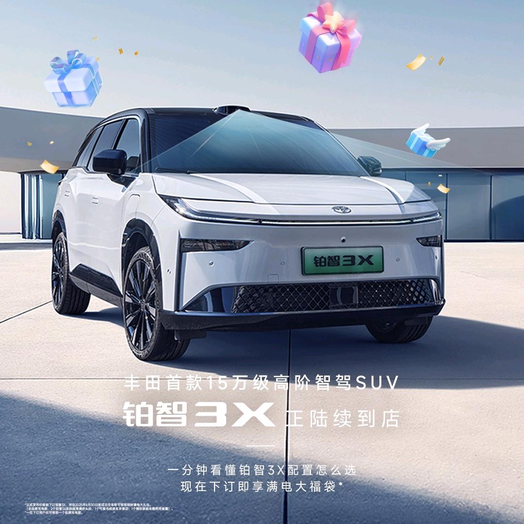 新能源卷王铂智