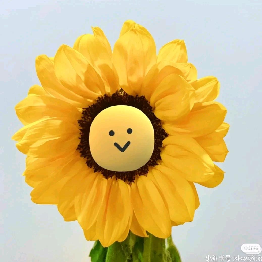 一切看淡，做自己