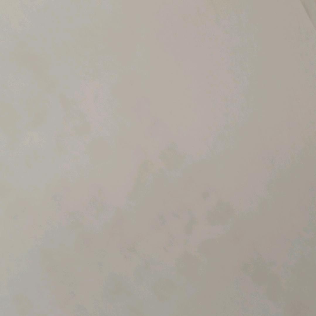 '情人