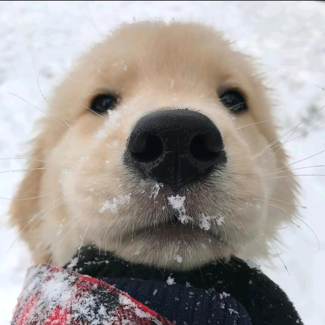 超..