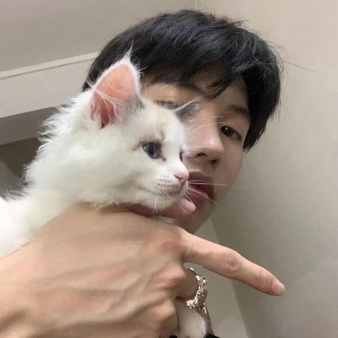 像极了风