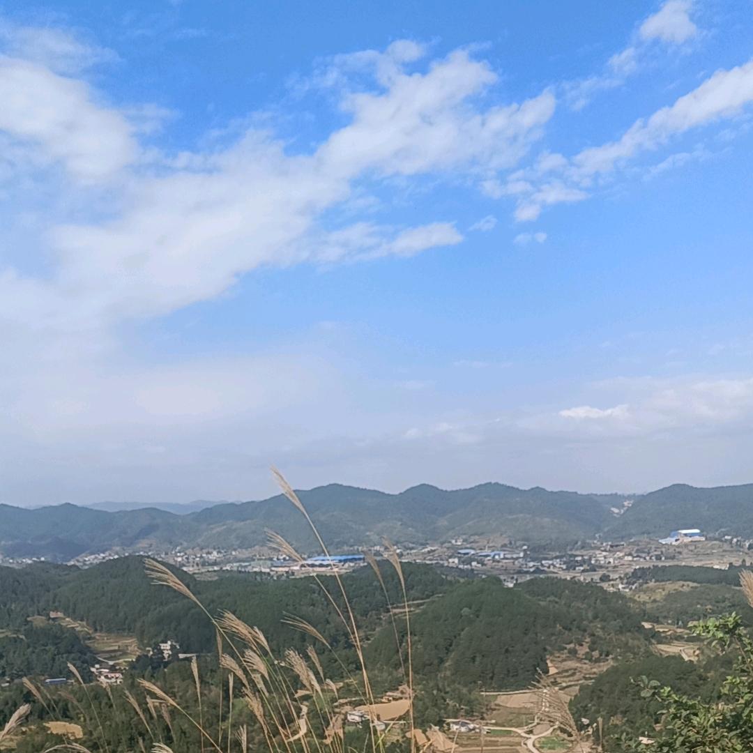 ᐝ随心🍀