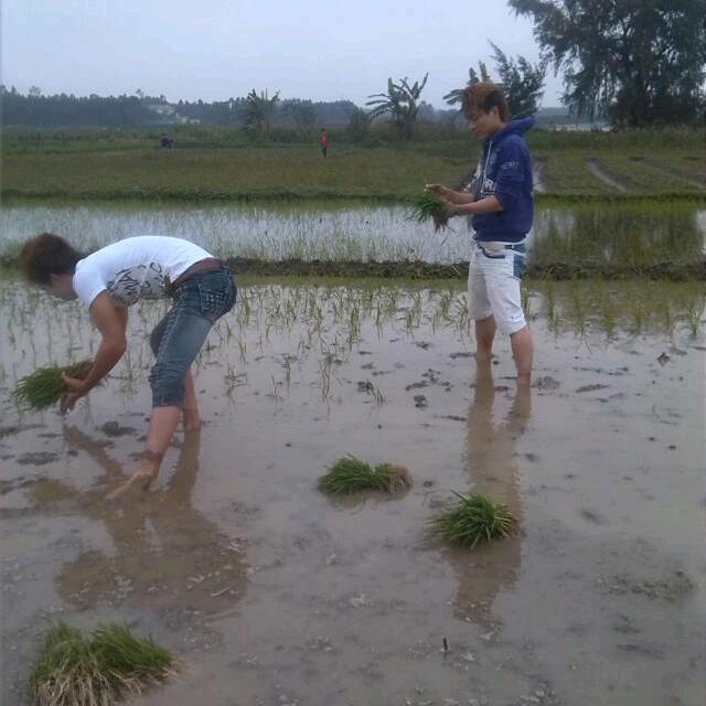 捉鱼生活