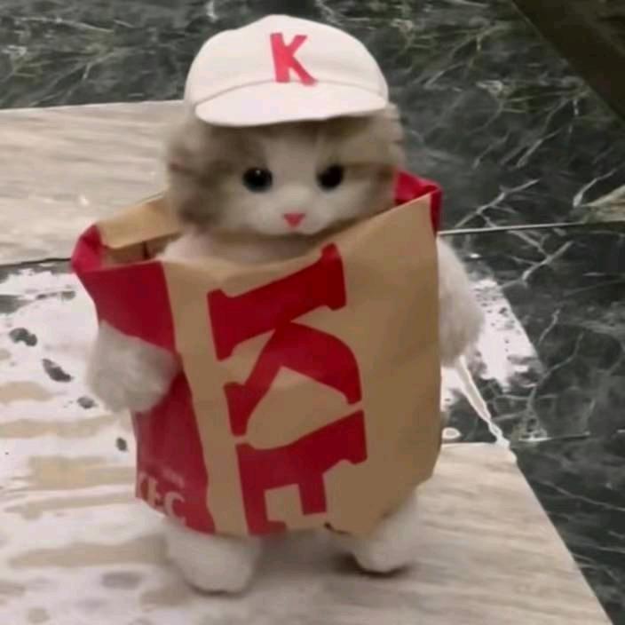 晚晚要暴富