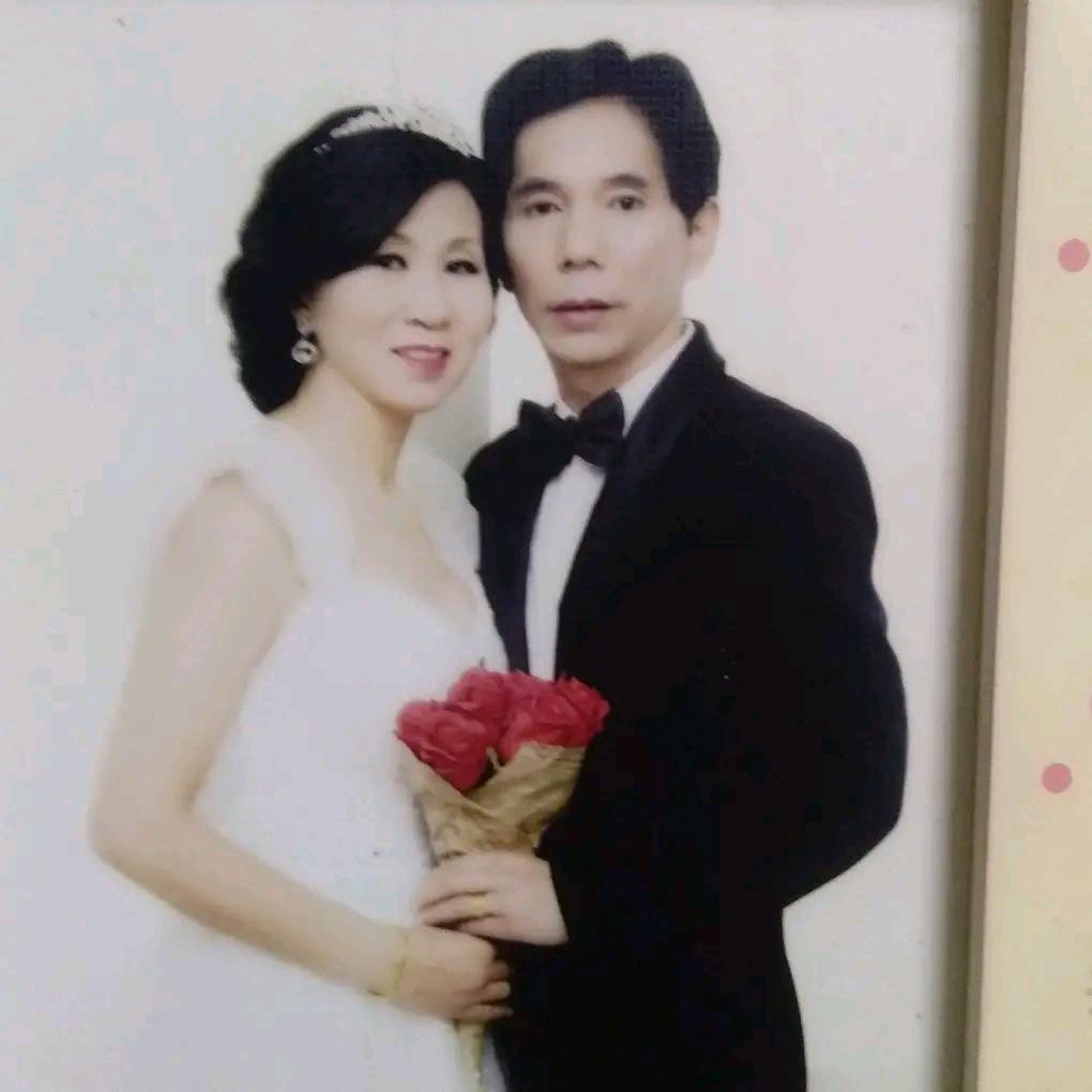 迎春花