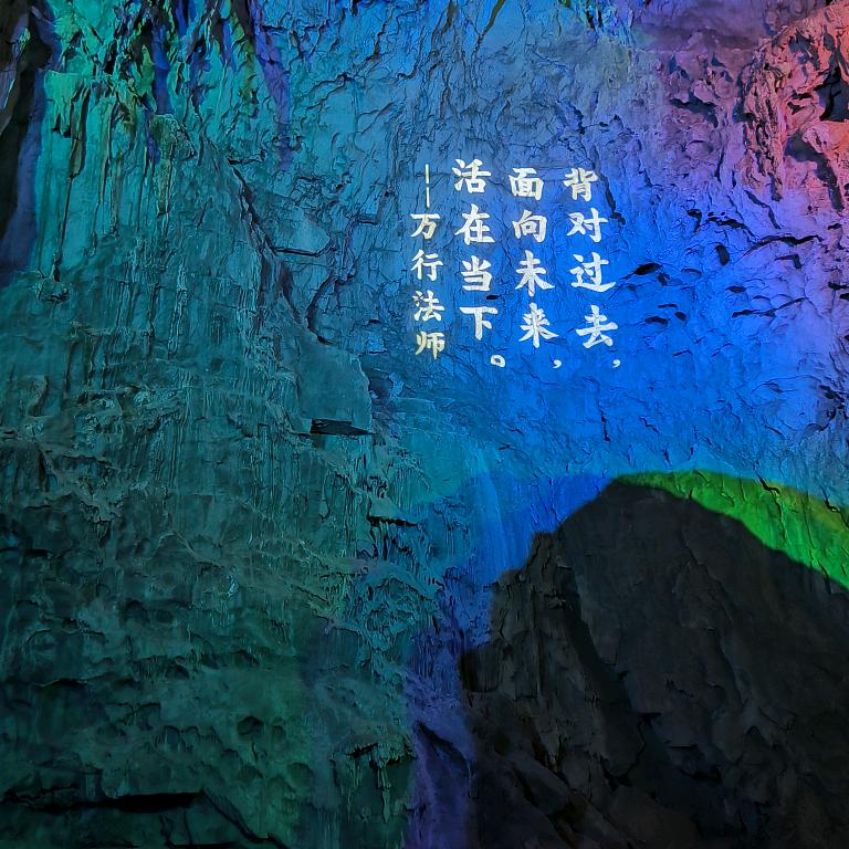 快递人！勿忘我来过