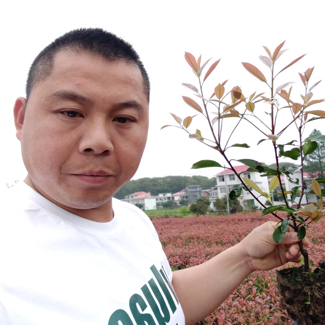 宣风人