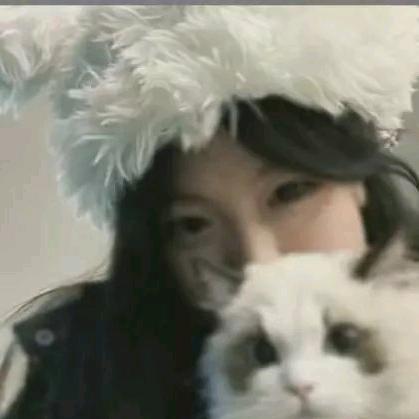 -摆烂小羊