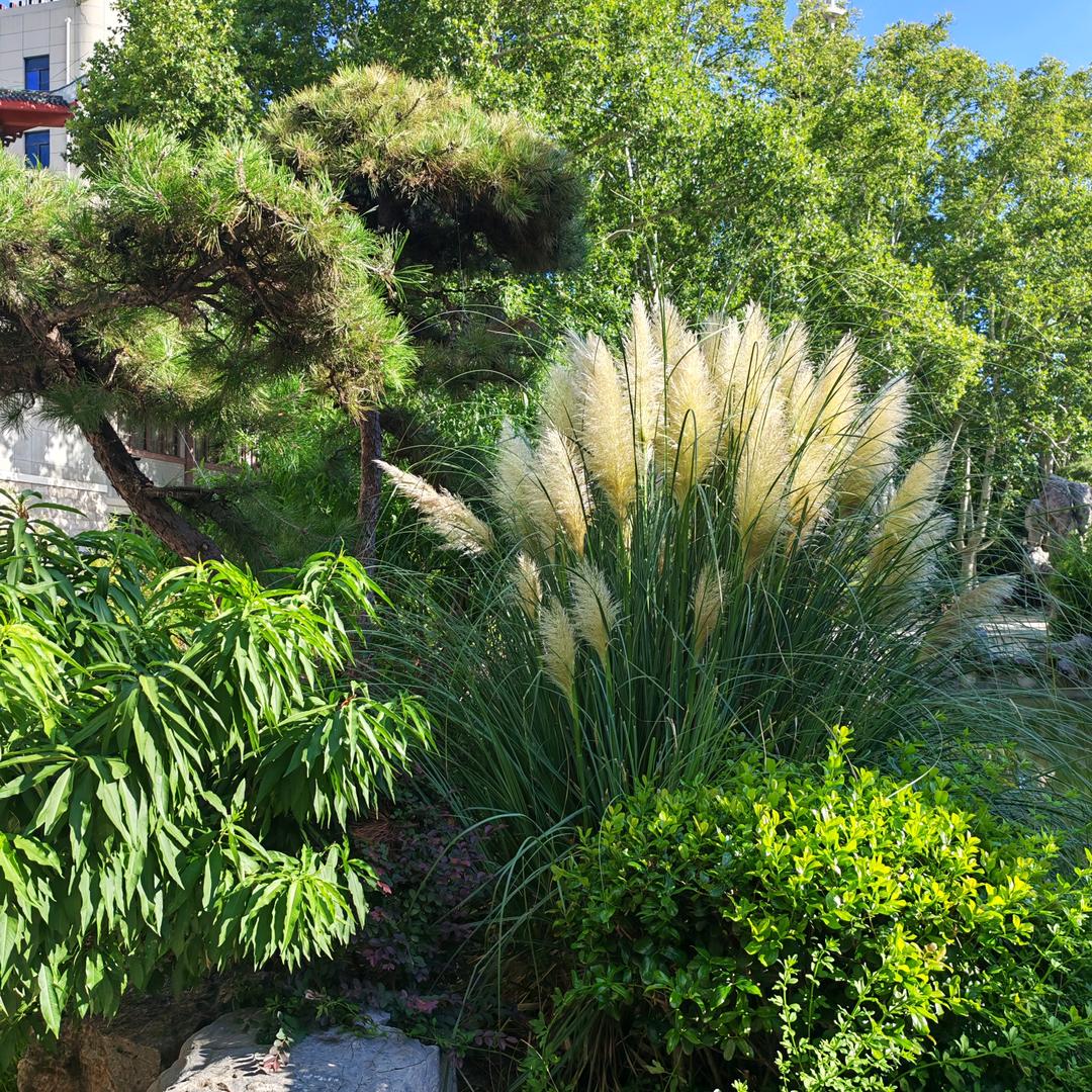 郑州男装（品牌精致男装集合店）