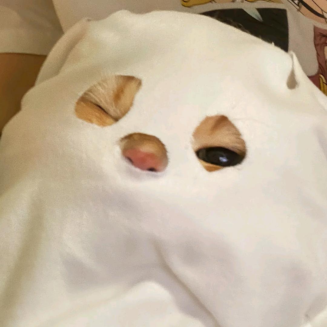 情绪-诛仙世界