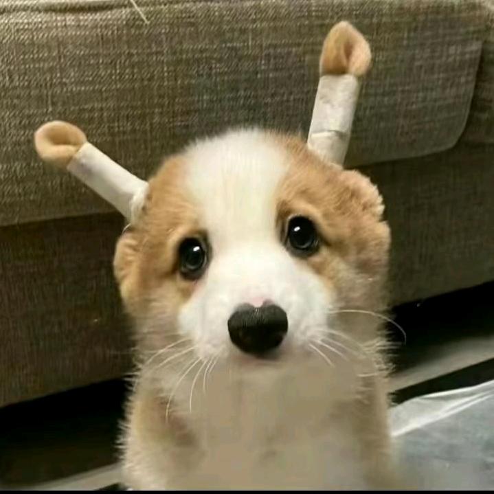 1..
