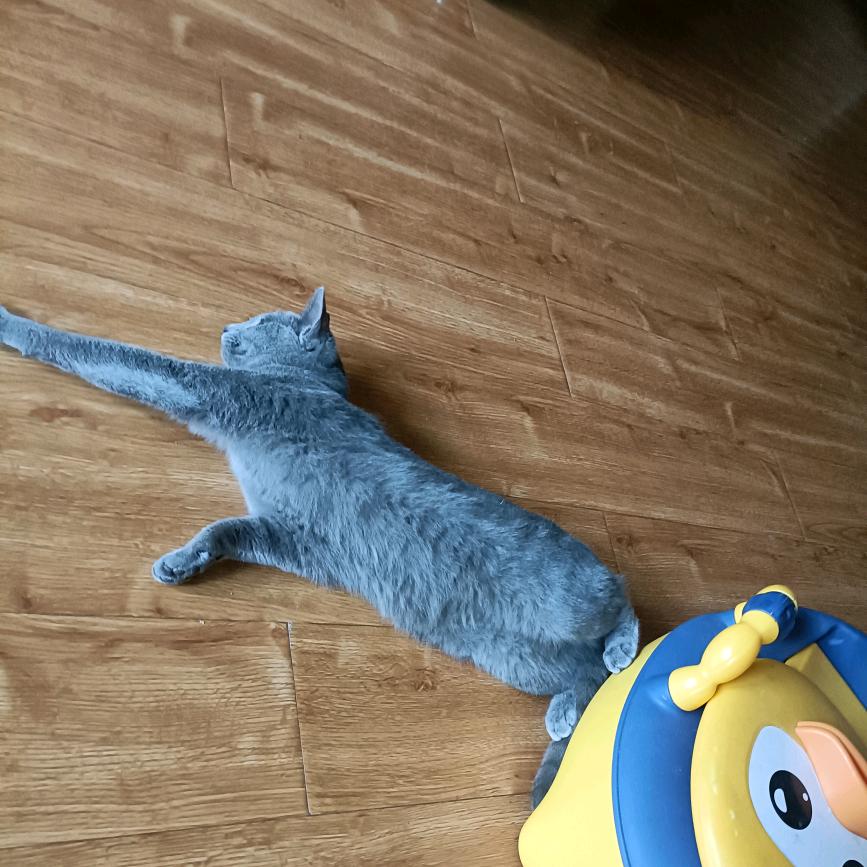 心动晚期