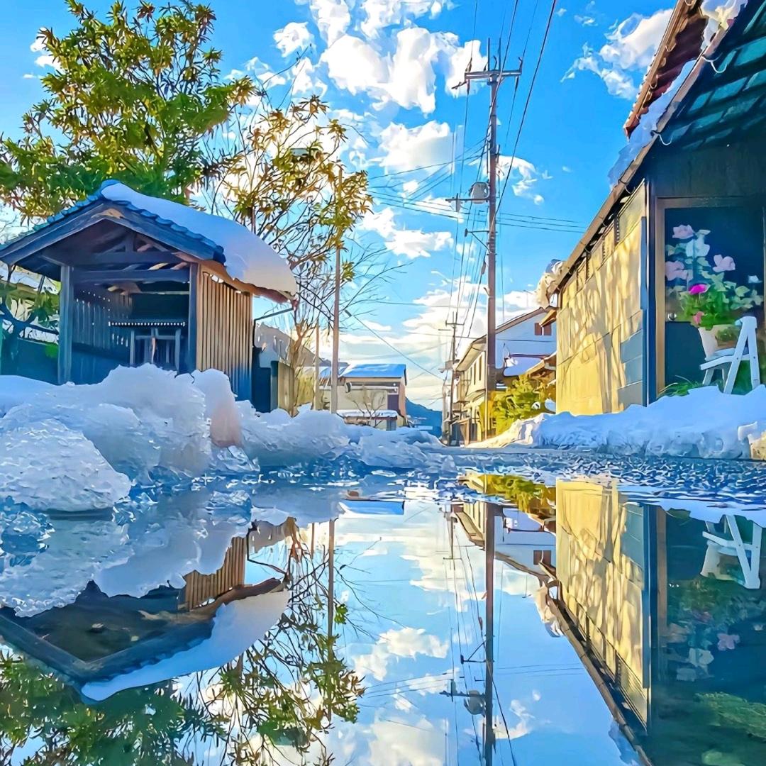 余生浅陌