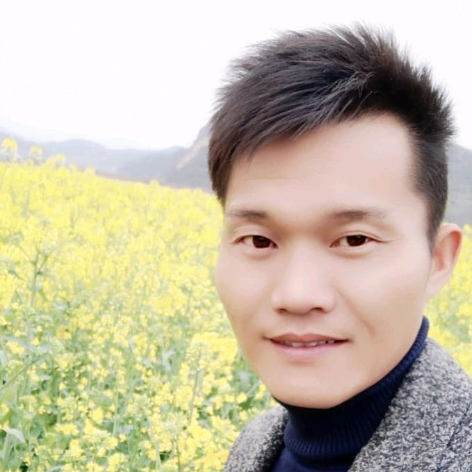 圆明哥