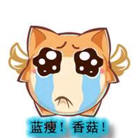 小肥猫吧