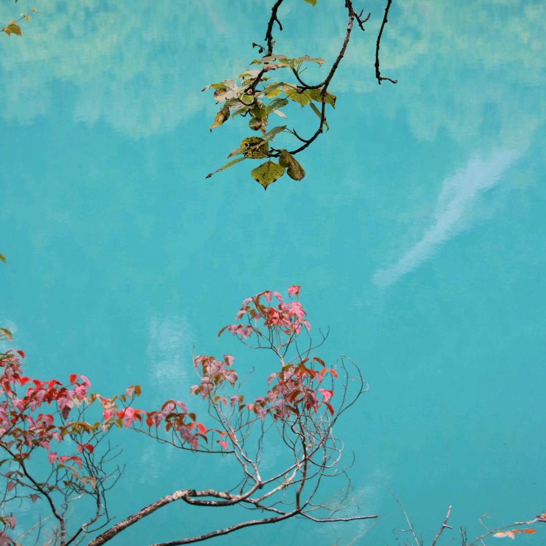 王小一🏸🚴‍♂️