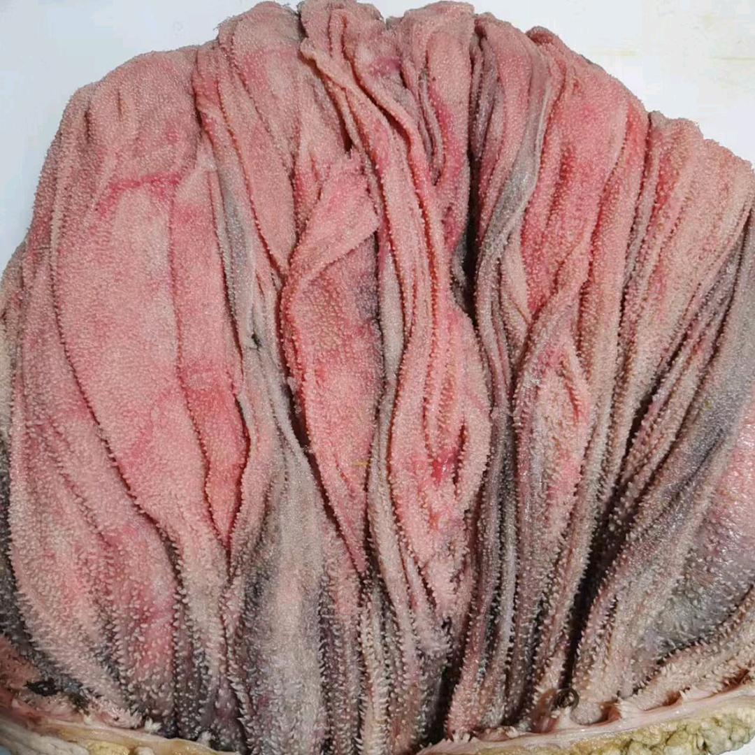 小黄家火锅食材批发