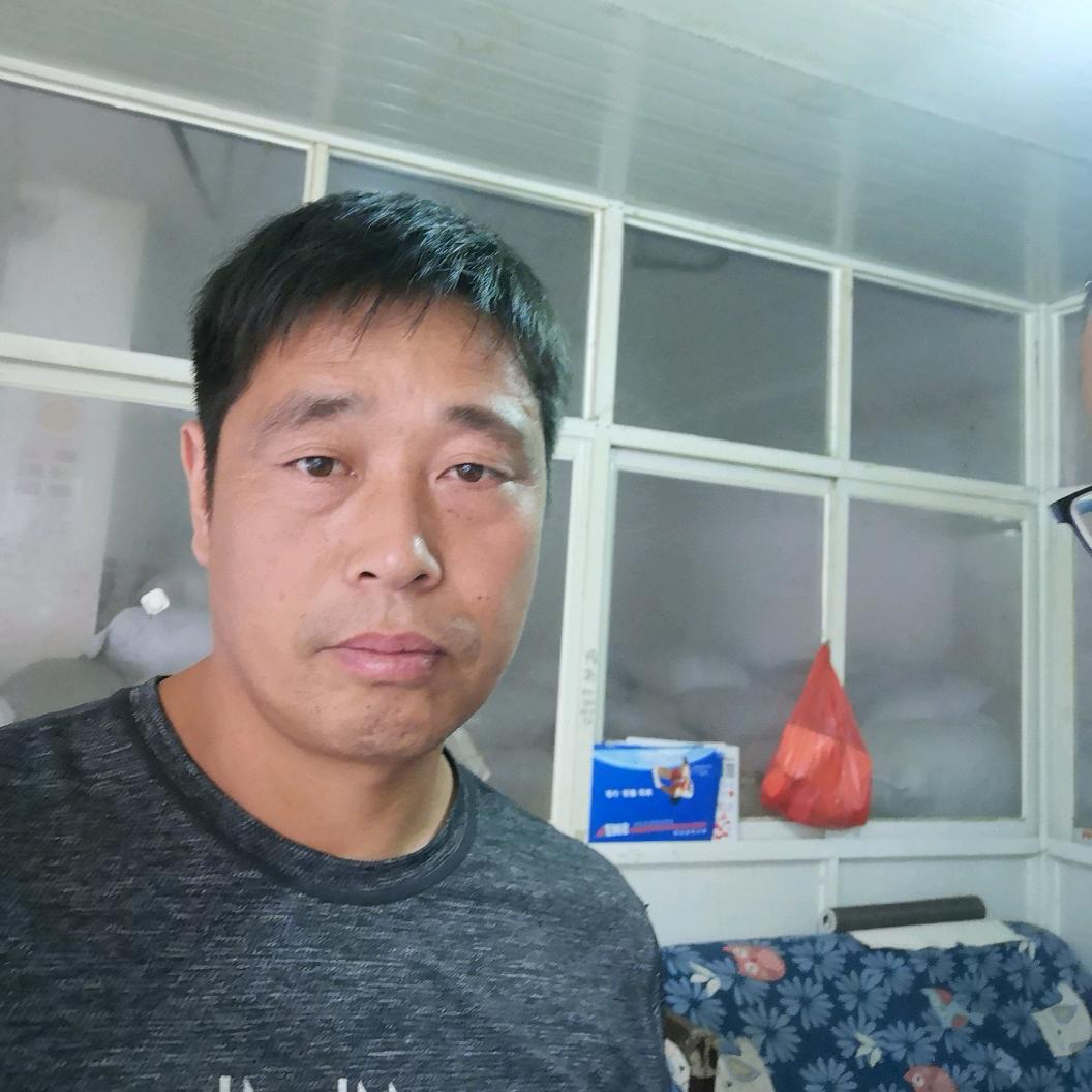 龙哥去东北