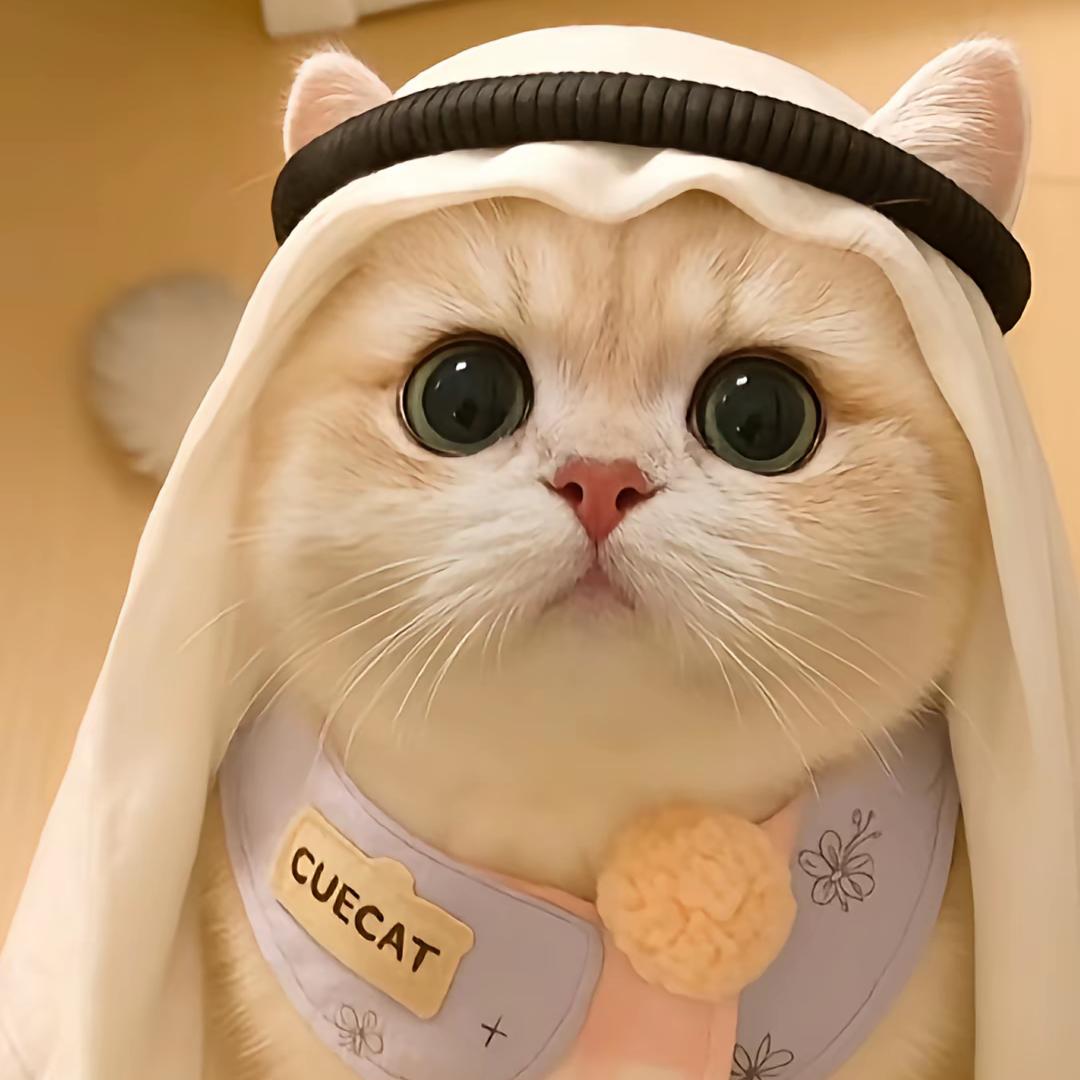 梦幻人生Q_Q💰吴玉儿