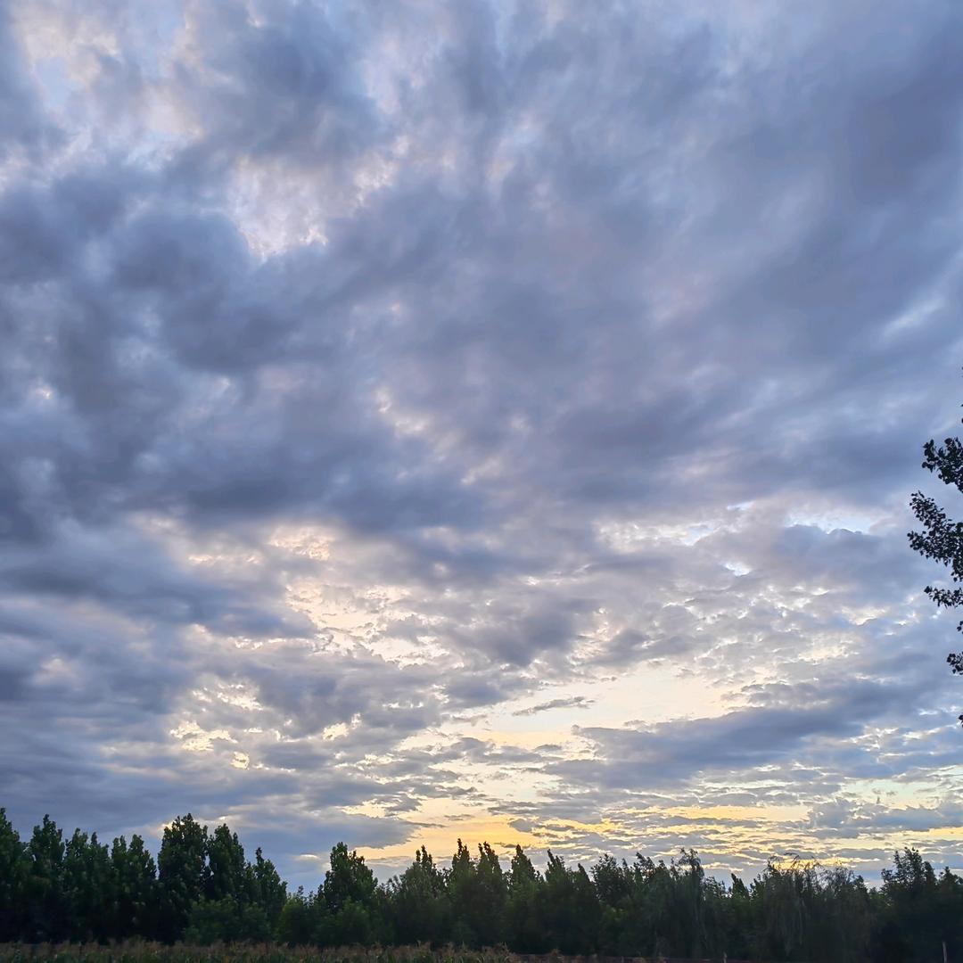 淇县黄洞黑山羊