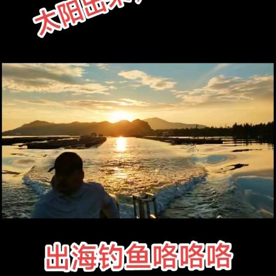 诚信大道（强哥）