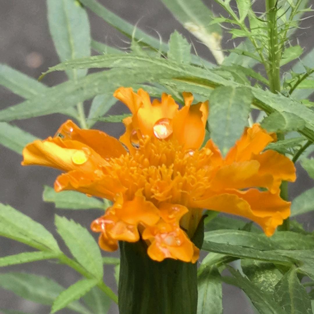 二手电脑   电脑维修