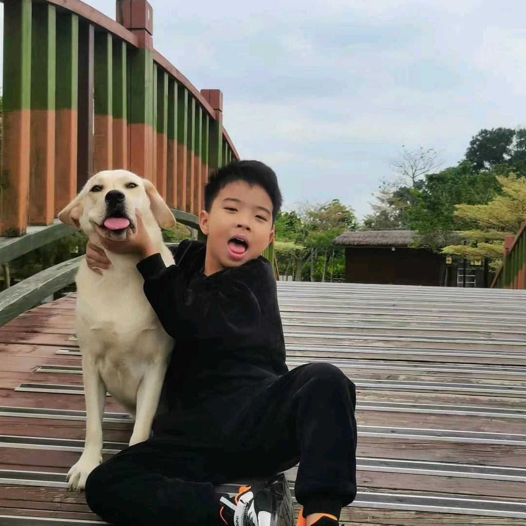 ✨王⭐哥✨